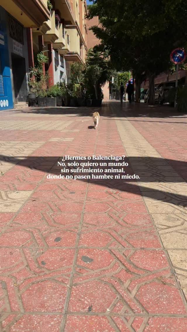 Post 6 by Desirèe Olmeda on Instagram (video)