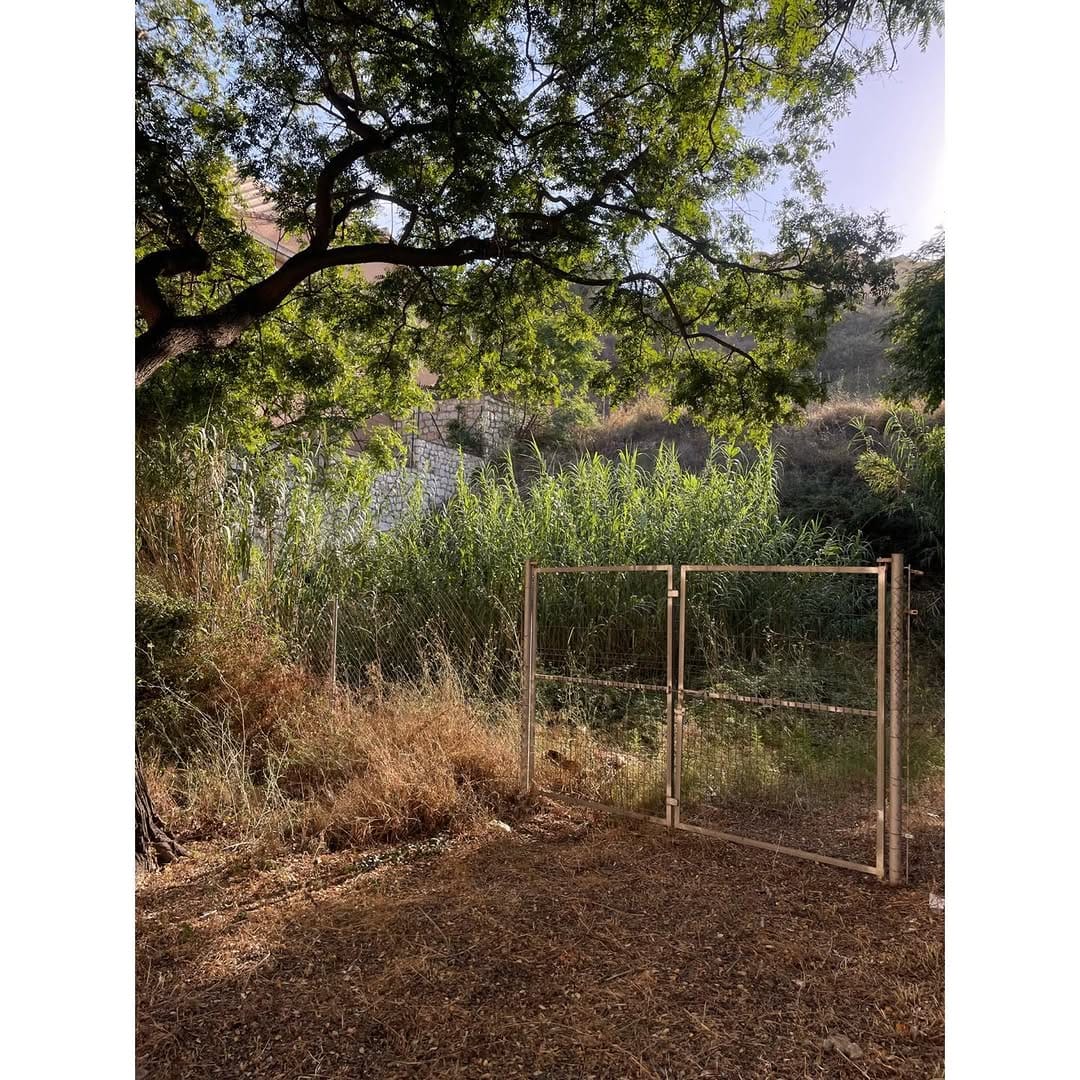 Post 8 by 🚀 Diana Mingorance | Photography on Instagram (image)
