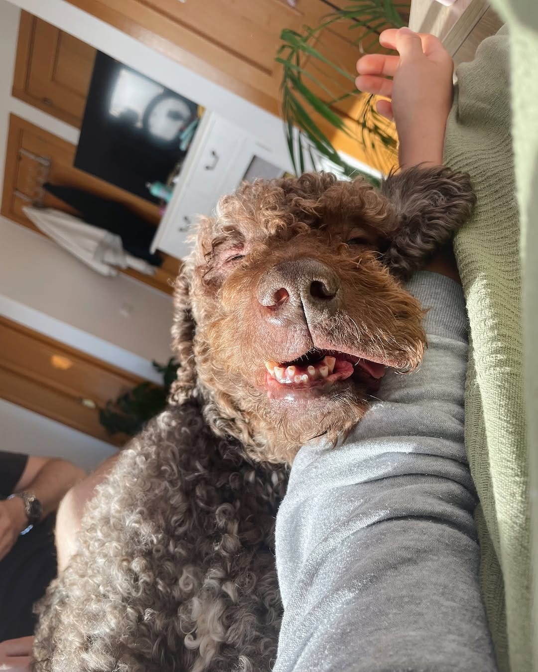 Post 10 by Turco, Summer, Mochi🧸 on Instagram (image)
