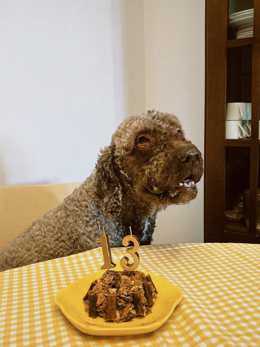 Post 3 by Turco, Summer, Mochi🧸 on Instagram (carousel)
