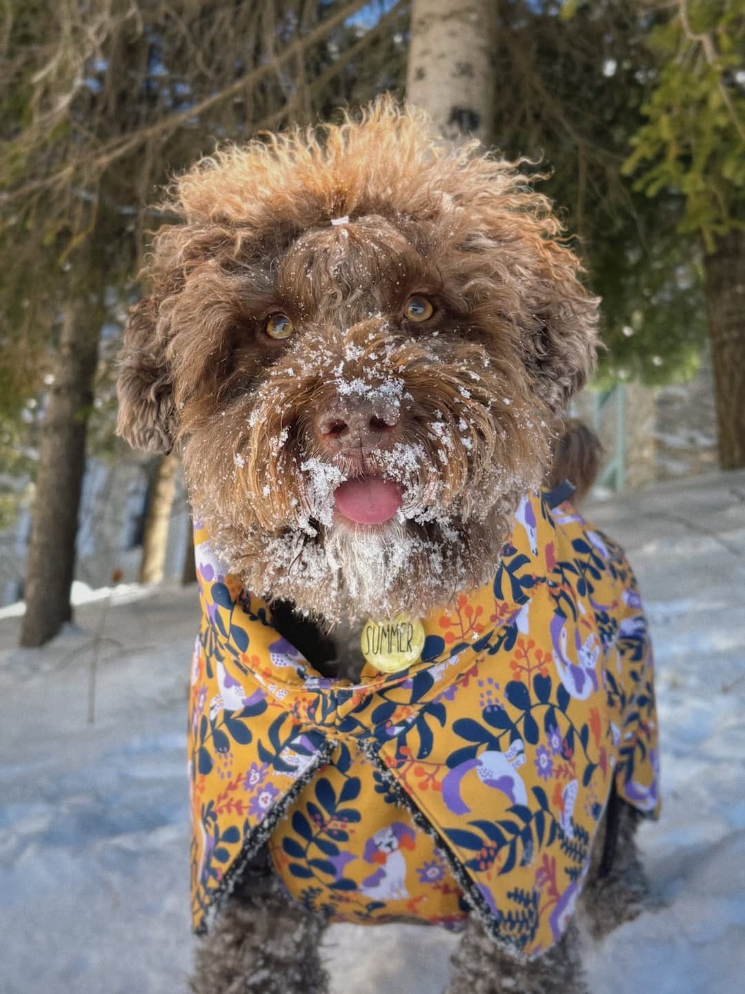 Post 8 by Turco, Summer, Mochi🧸 on Instagram (carousel)