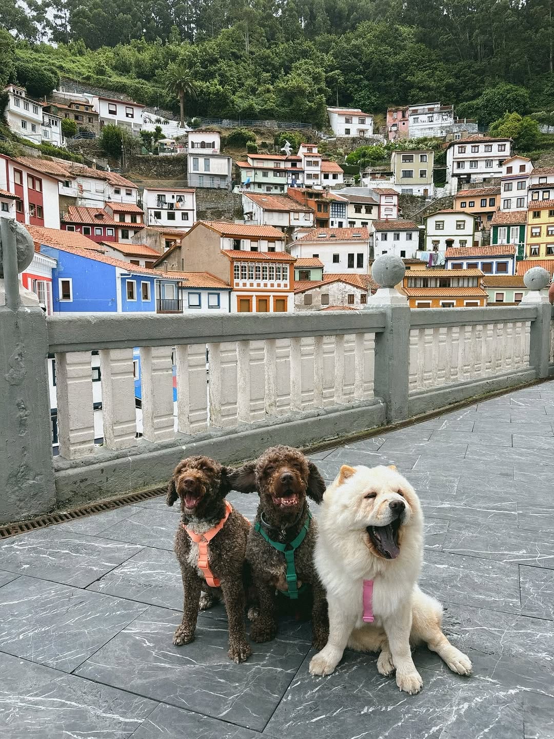 Post 9 by Turco, Summer, Mochi🧸 on Instagram (carousel)
