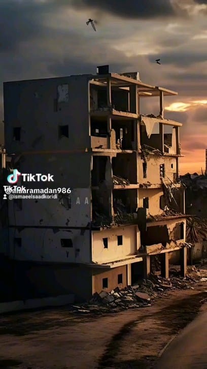 Post 8 by Ismael Saad Kreidi on Instagram (video)