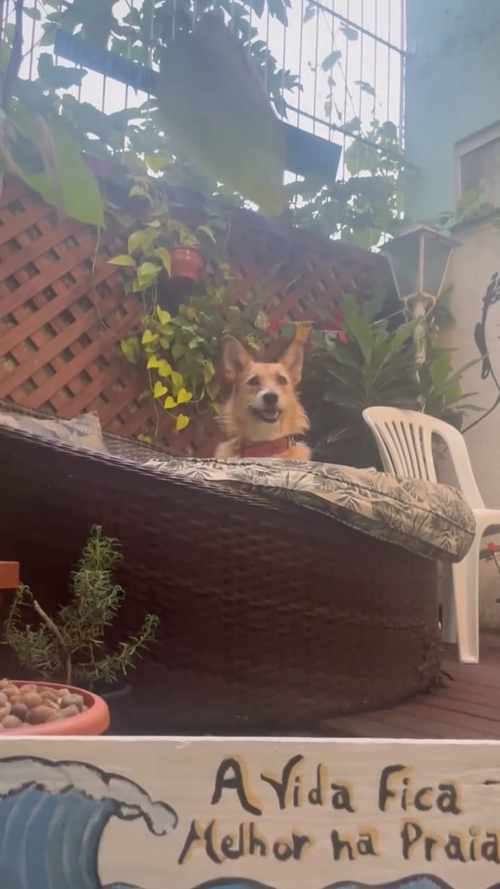 Post 8 by IPÊ PALMAS HOSTEL on Instagram (video)