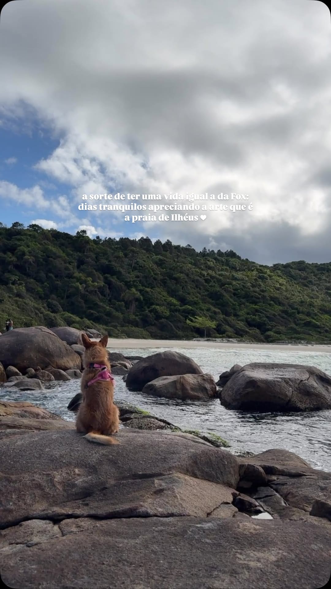 Post 7 by IPÊ PALMAS HOSTEL on Instagram (video)