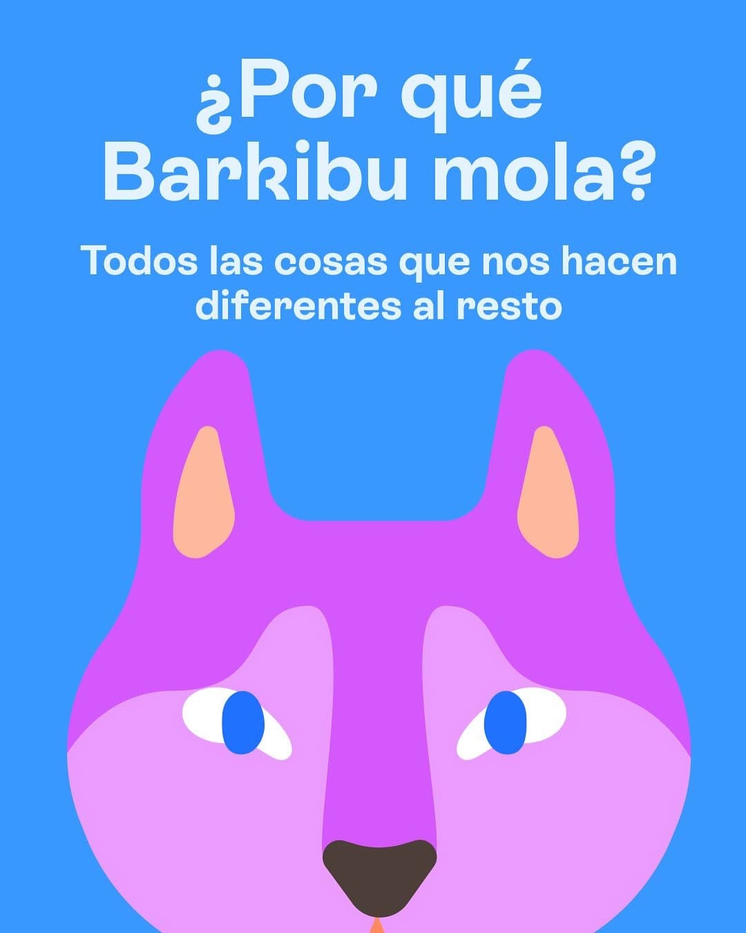 Post 8 by Barkibu on Instagram (carousel)