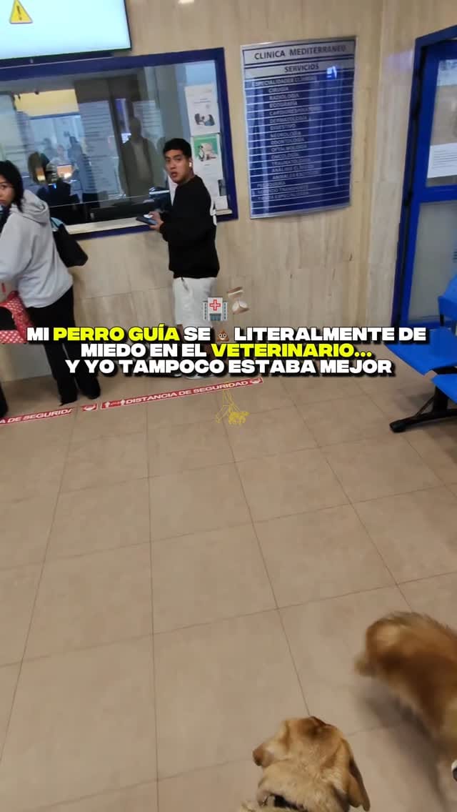 Post 6 by Barkibu on Instagram (video)
