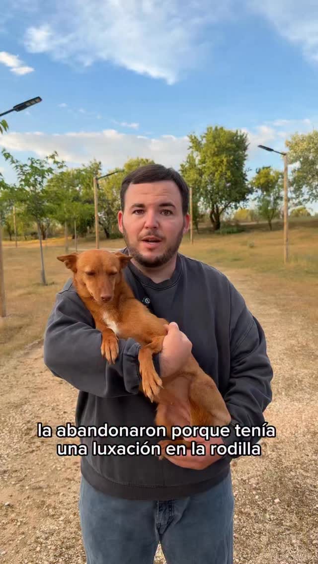 Post 7 by Barkibu on Instagram (video)