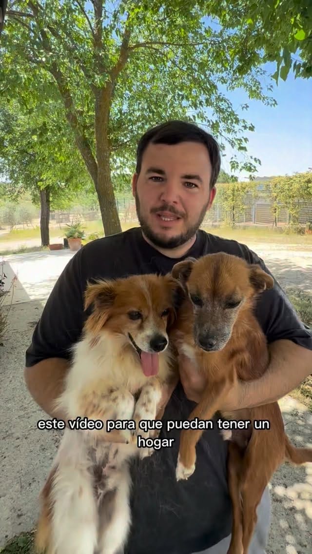 Post 2 by Barkibu on Instagram (video)