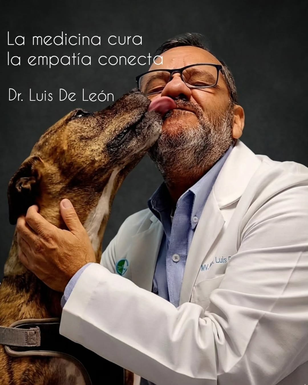 Post 8 by Luis De Leon / Oftalmólogo - Veterinario on Instagram (image)