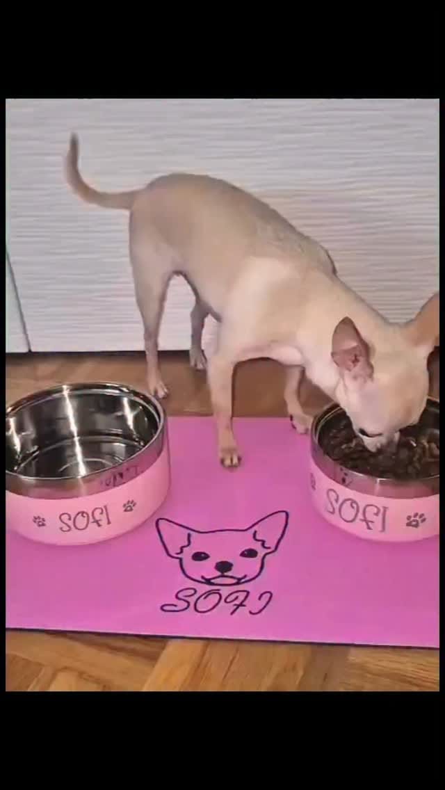 Post 10 by Sofi on Instagram (video)
