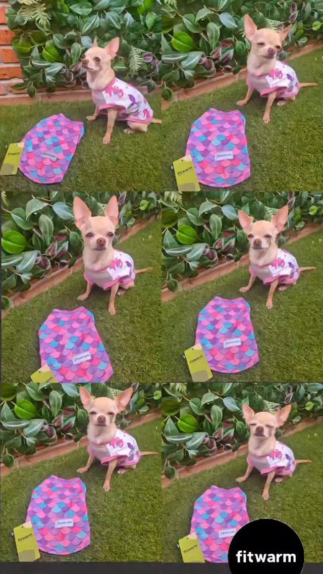 Post 2 by Sofi on Instagram (video)