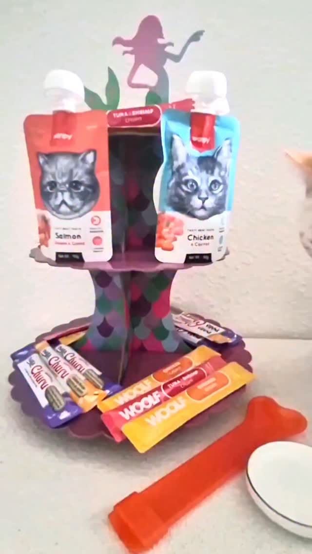 Post 4 by Sofi on Instagram (video)