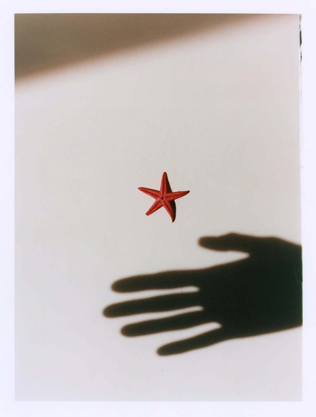 Post 3 by Esperanza Moya on Instagram (carousel)