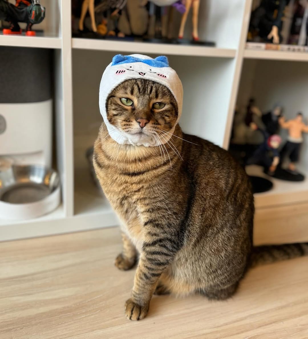Post 4 by Totoro y Luna on Instagram (carousel)