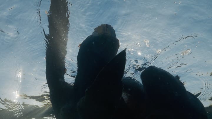 Post 9 by David Serradell 🦈 on Instagram (carousel)