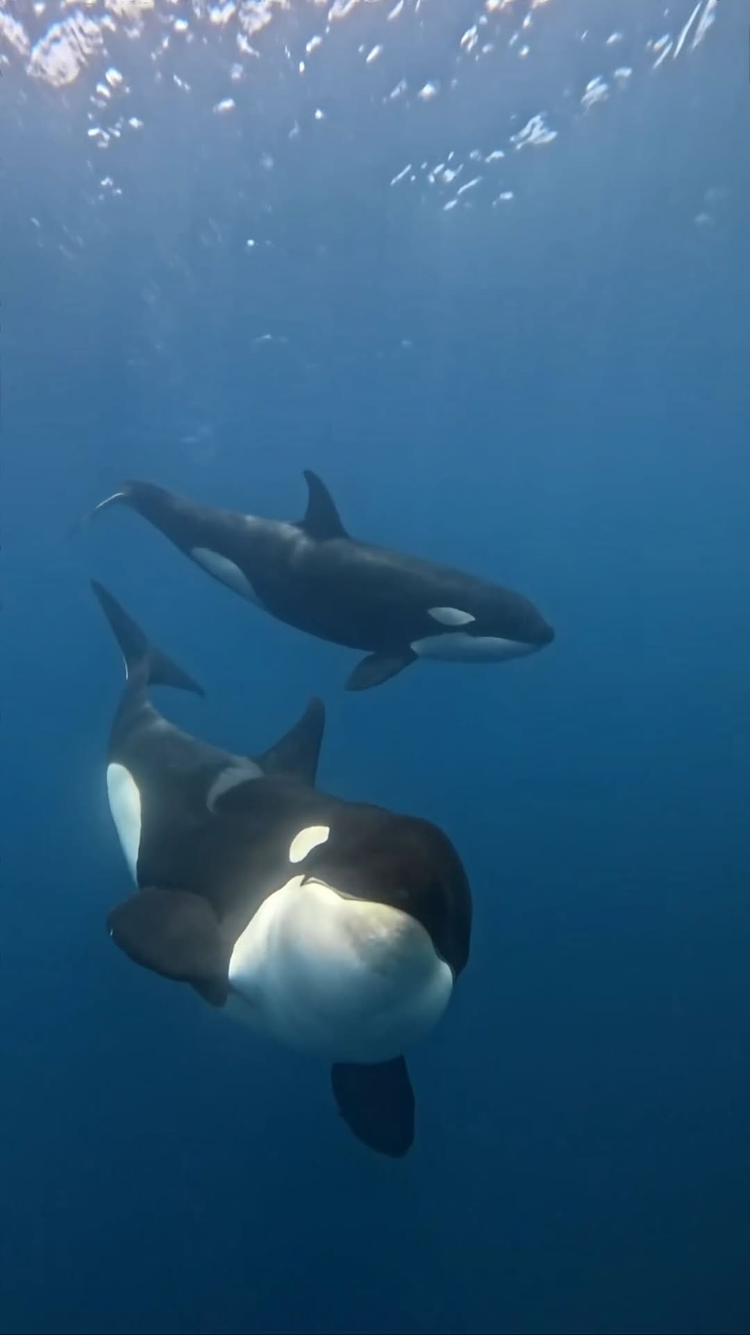 Post 9 by Ari R A on Instagram (video)