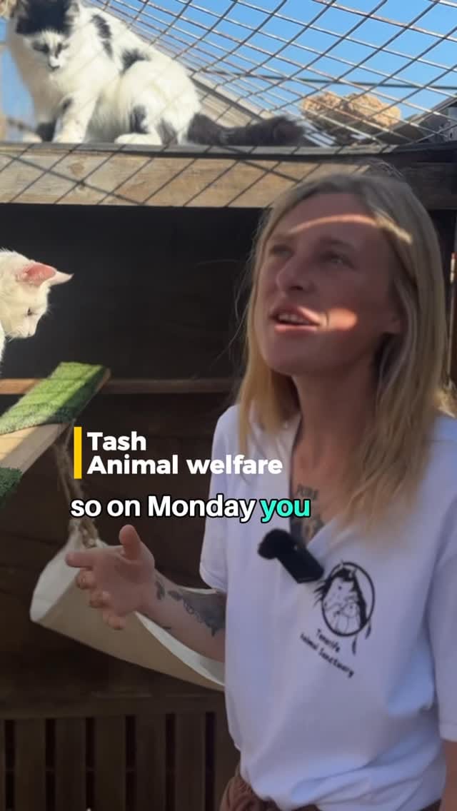 Post 3 by Tenerife Animal Sanctuary on Instagram (video)