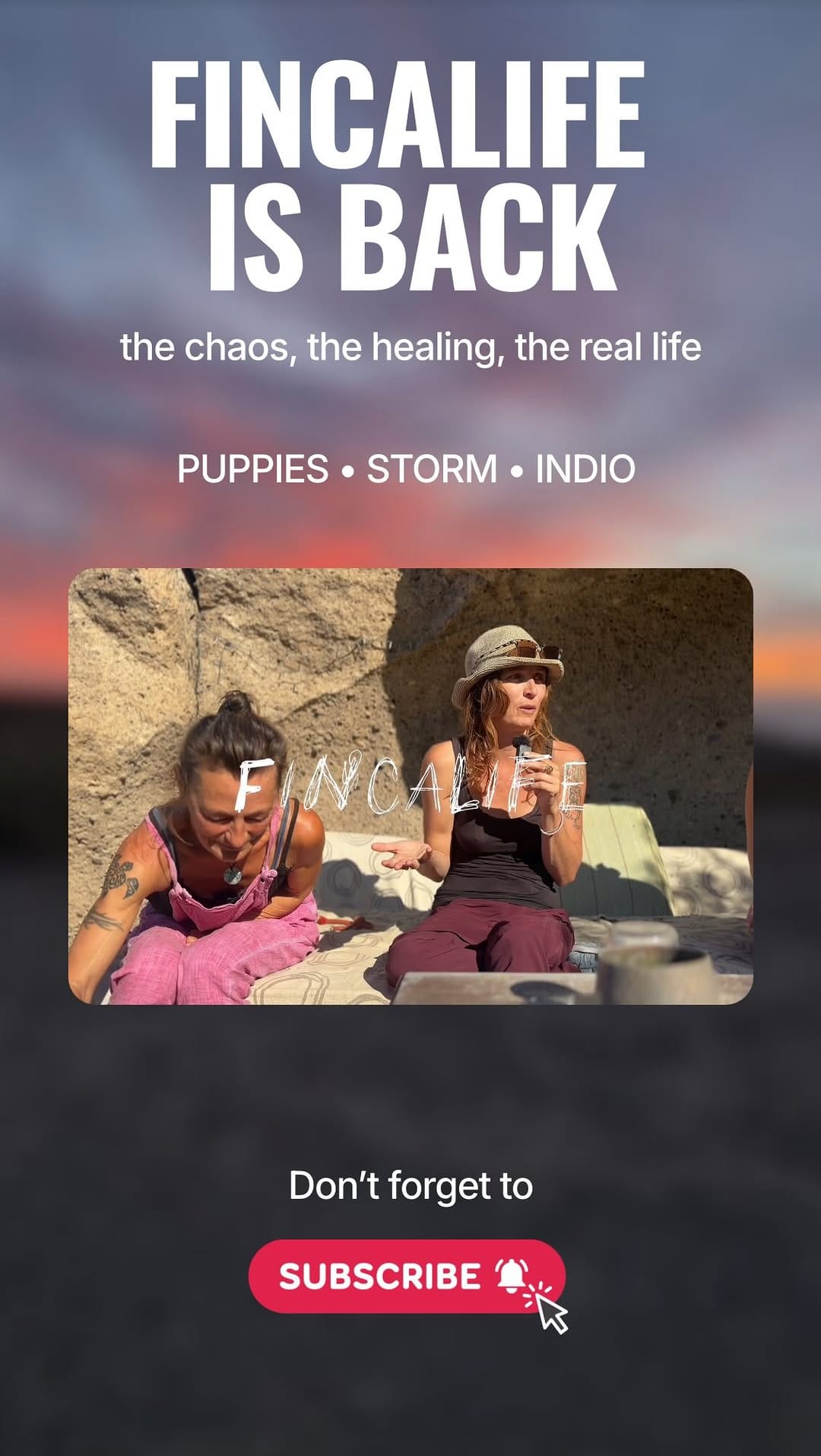 Post 6 by Tenerife Animal Sanctuary on Instagram (video)