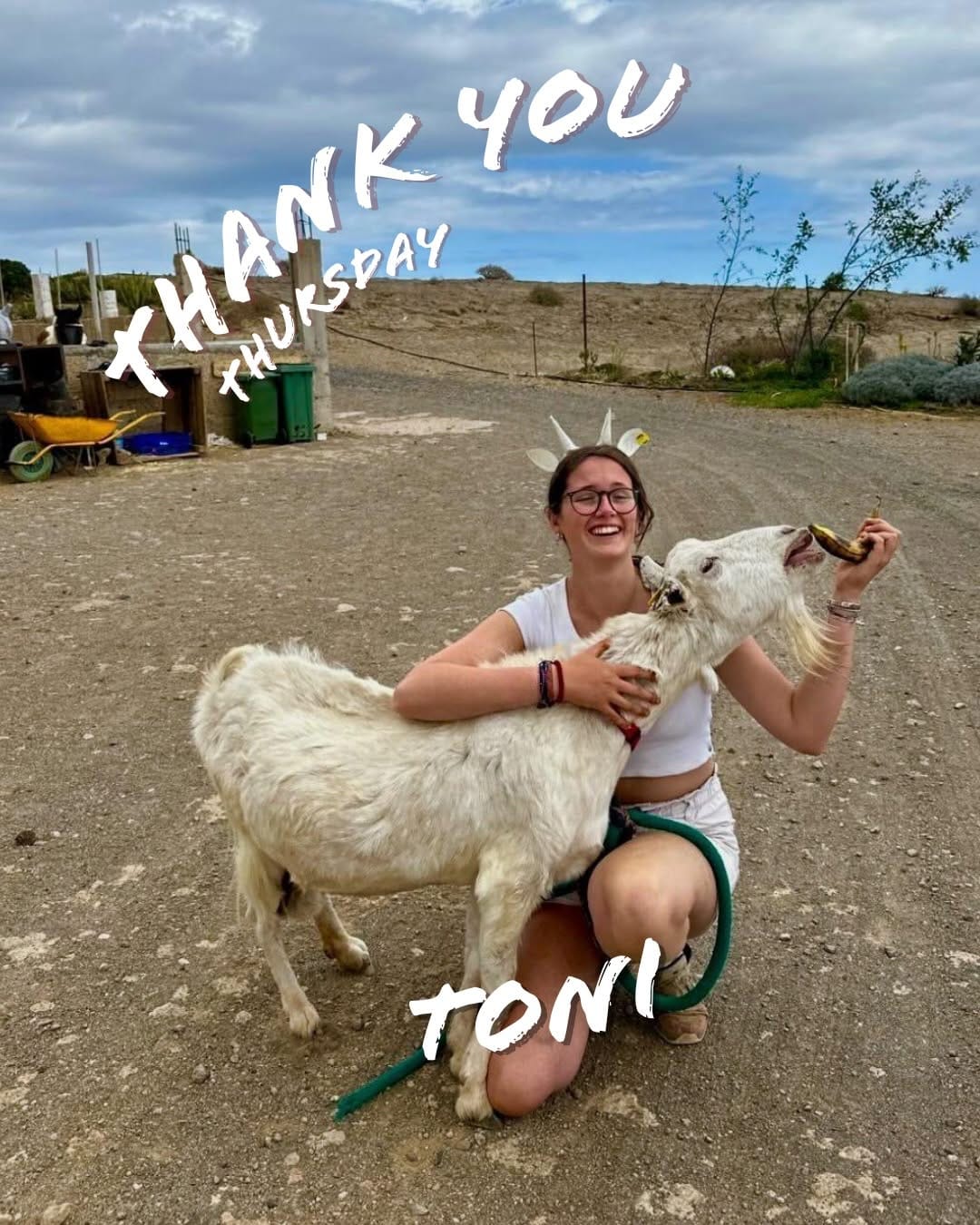 Post 2 by Tenerife Animal Sanctuary on Instagram (carousel)