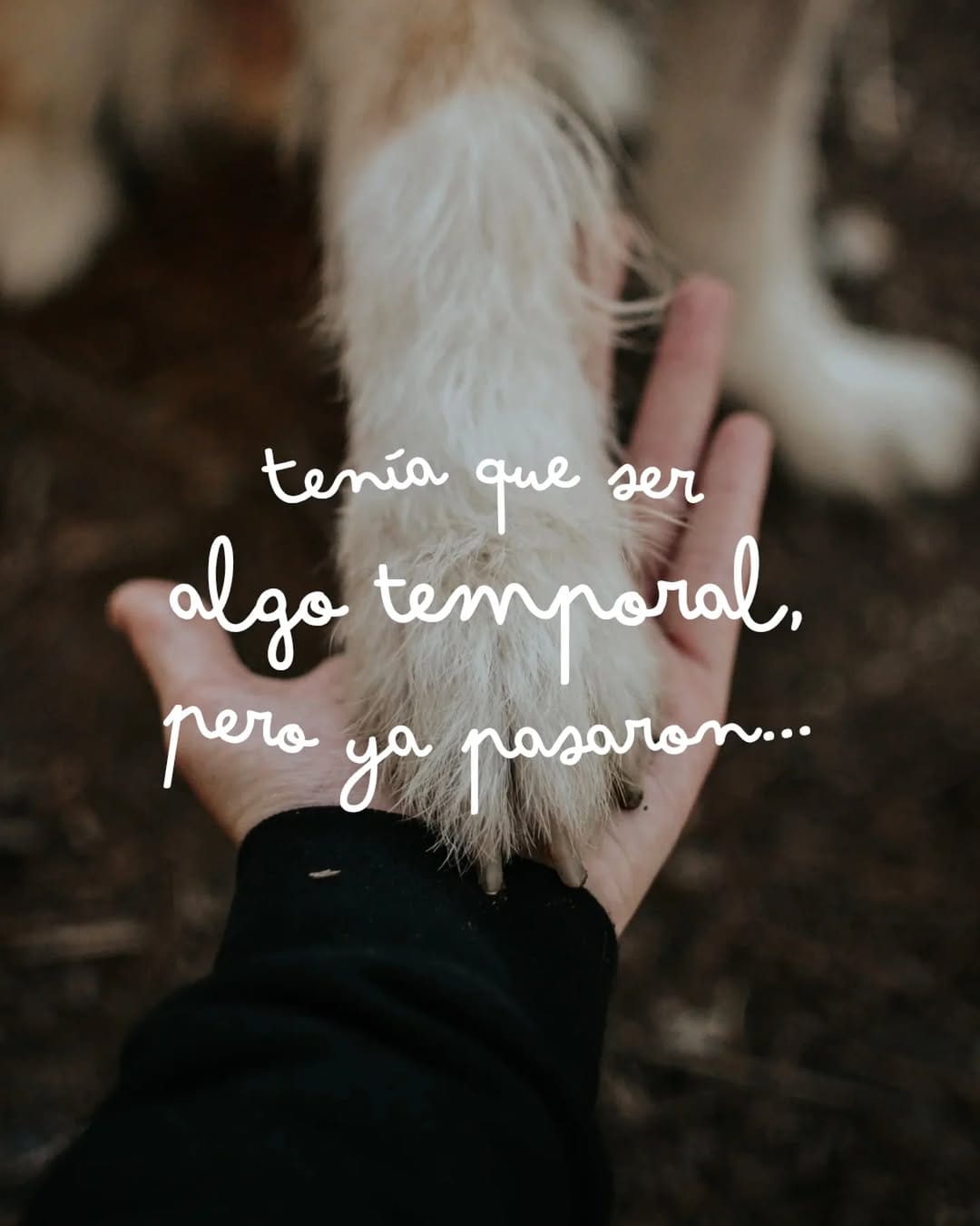 Post 10 by Asociación Encaixant Mons on Instagram (carousel)