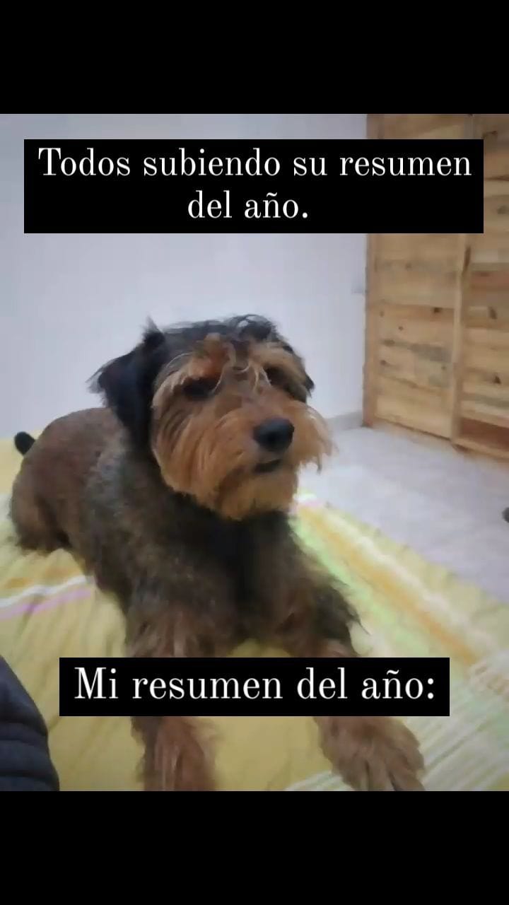 Post 6 by Jesus Manuel Barroeta Perez on Instagram (video)