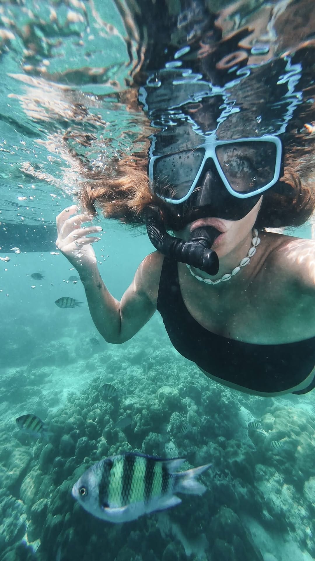 Post 2 by Celeste 🌊🌺 on Instagram (video)