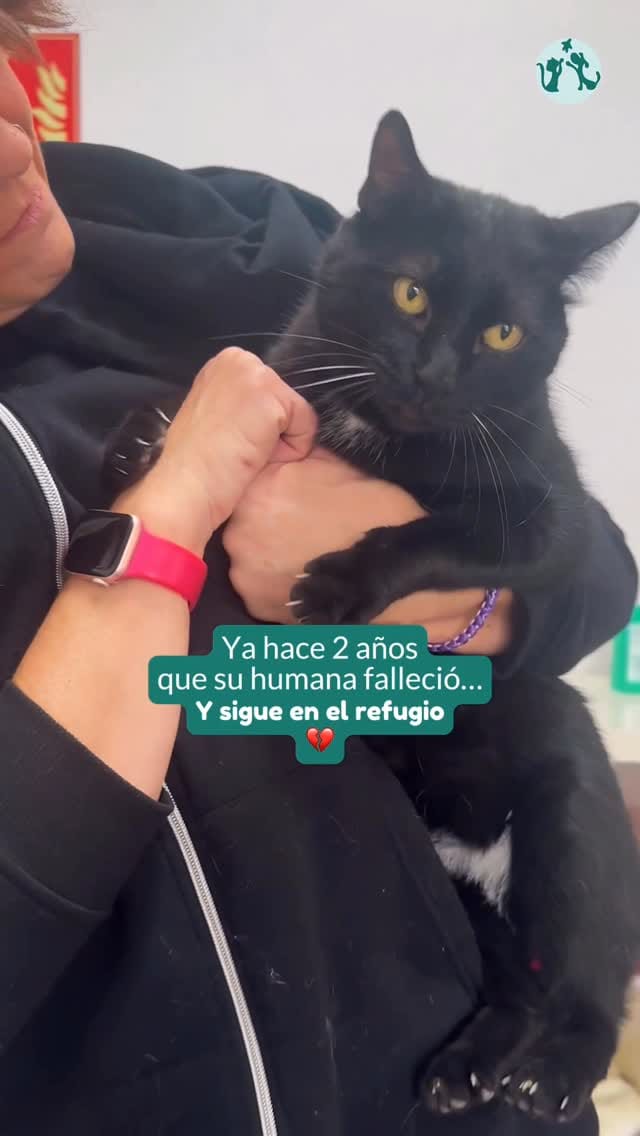 Post 7 by Fundació Silvestre on Instagram (video)