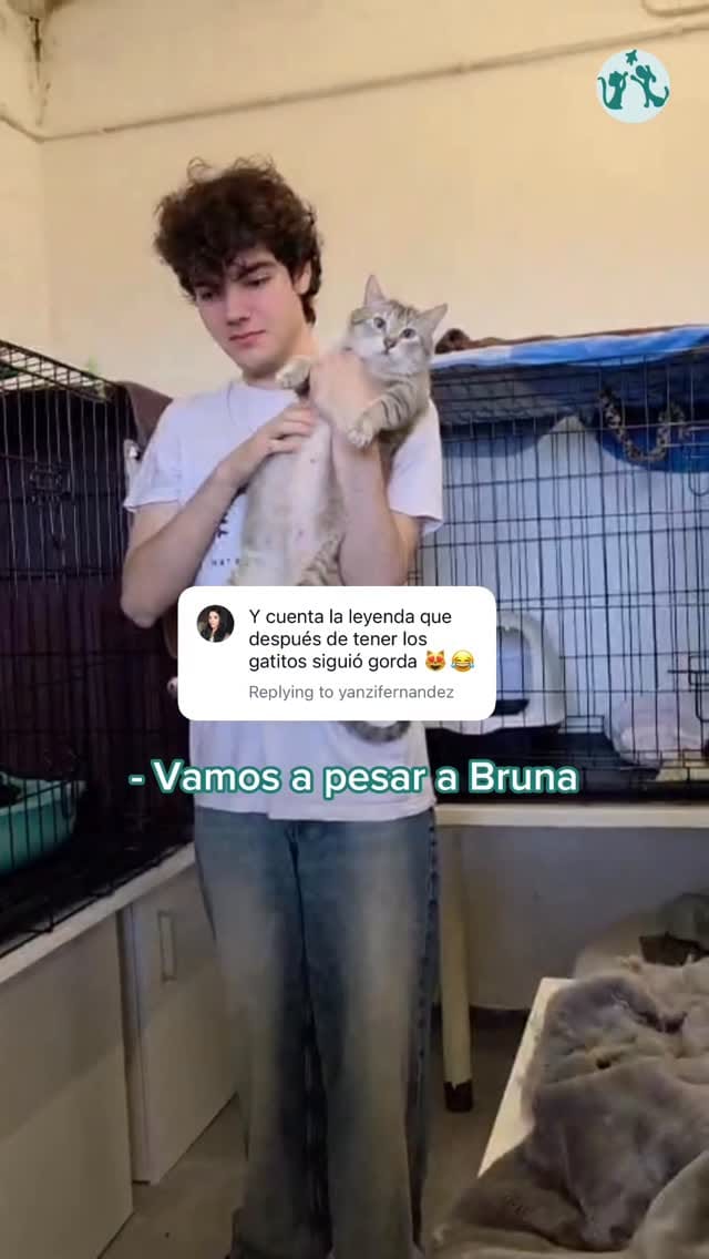 Post 5 by Fundació Silvestre on Instagram (video)