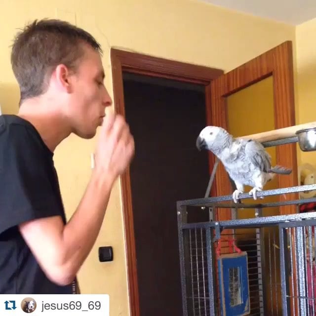 Post 2 by @__rubio96__ on Instagram (video)