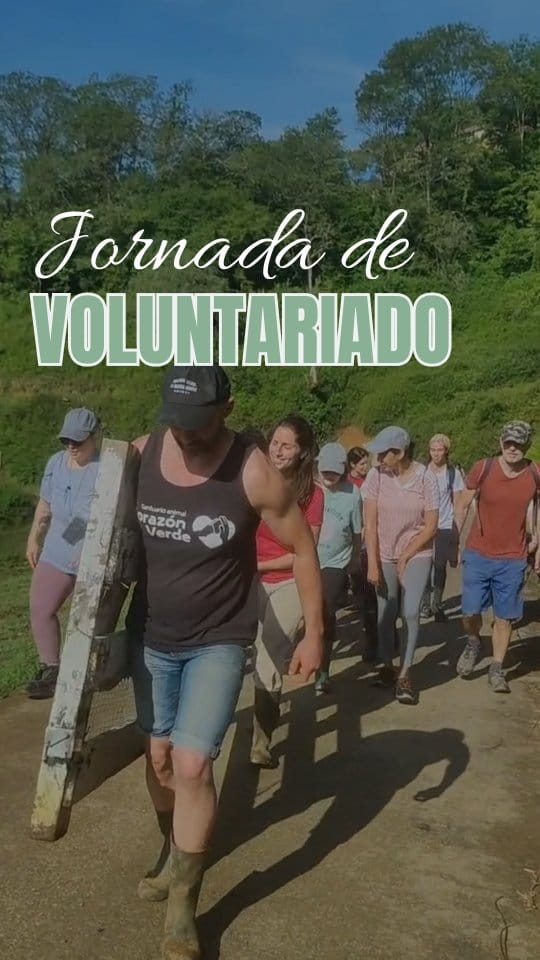 Post 5 by Santuario Corazón Verde on Instagram (video)
