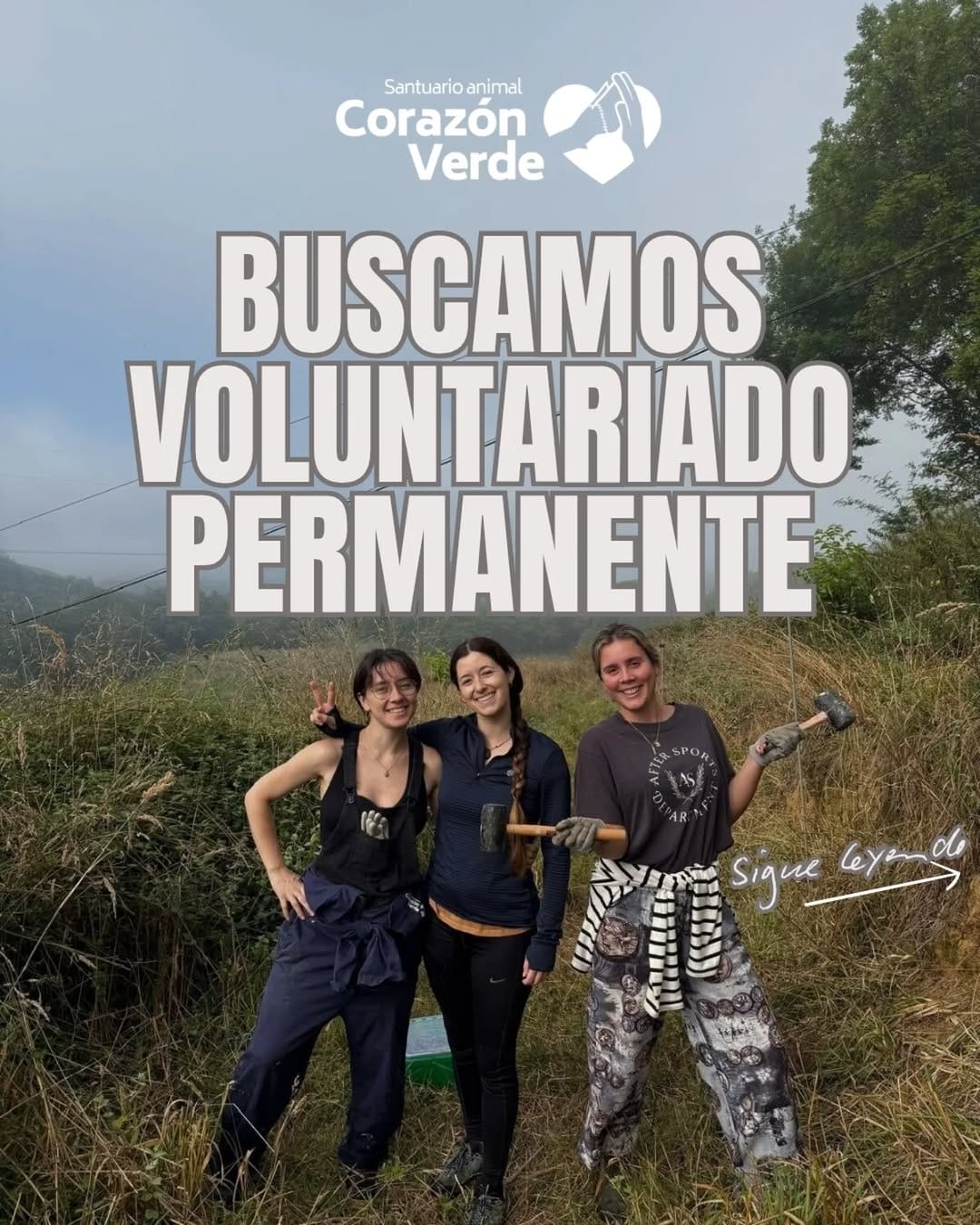 Post 8 by Santuario Corazón Verde on Instagram (carousel)