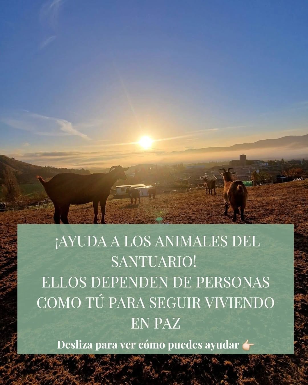 Post 10 by Santuario Corazón Verde on Instagram (carousel)