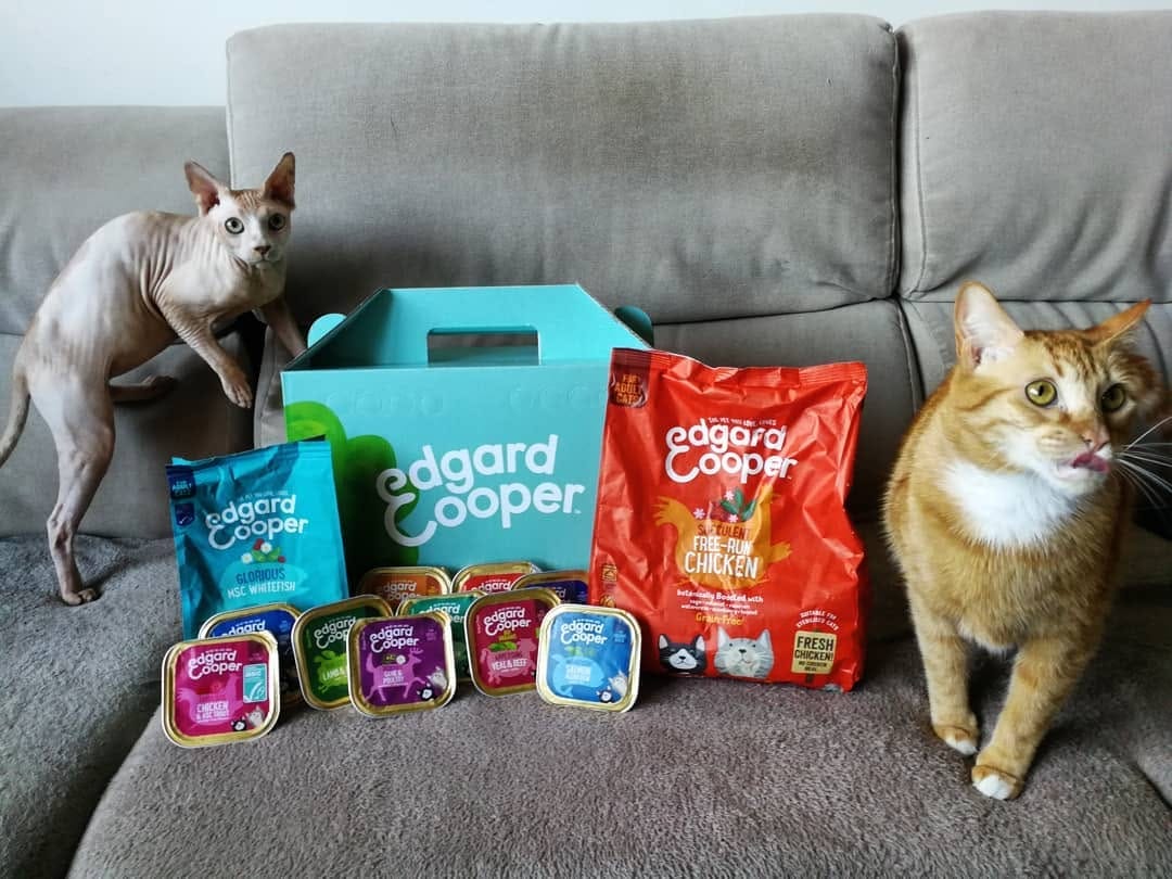 Post 3 by dobby and leo on Instagram (image)