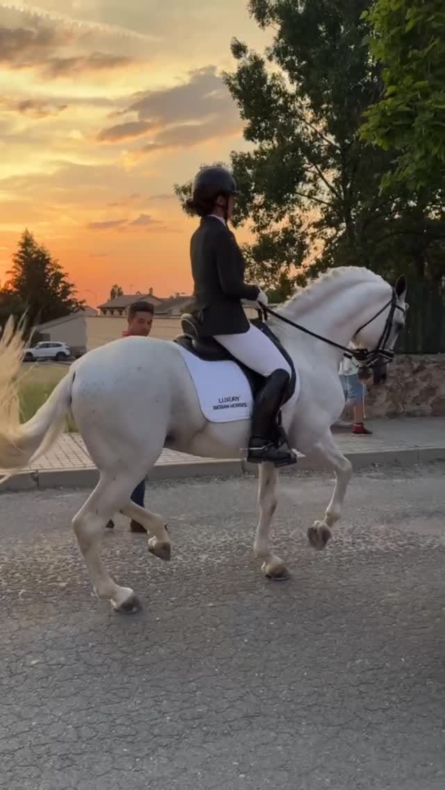 Post 1 by L Glez-Sabariegos. on Instagram (video)