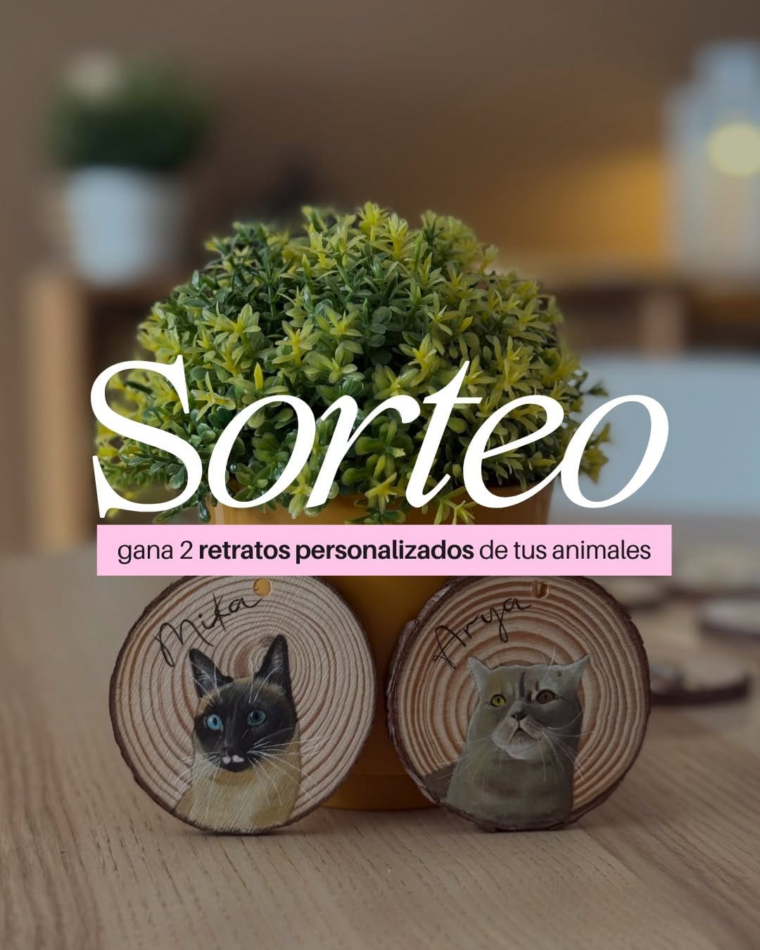 Post 5 by Estela Calabuig on Instagram (carousel)