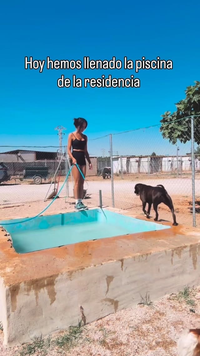 Post 3 by Estela Calabuig on Instagram (video)