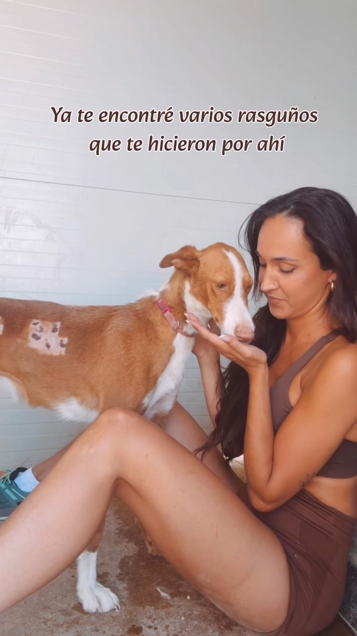 Post 2 by Estela Calabuig on Instagram (video)