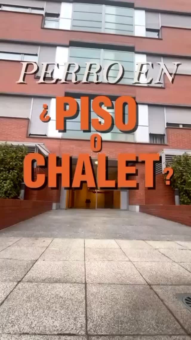 Post 9 by Acogiendo.Peludos on Instagram (video)