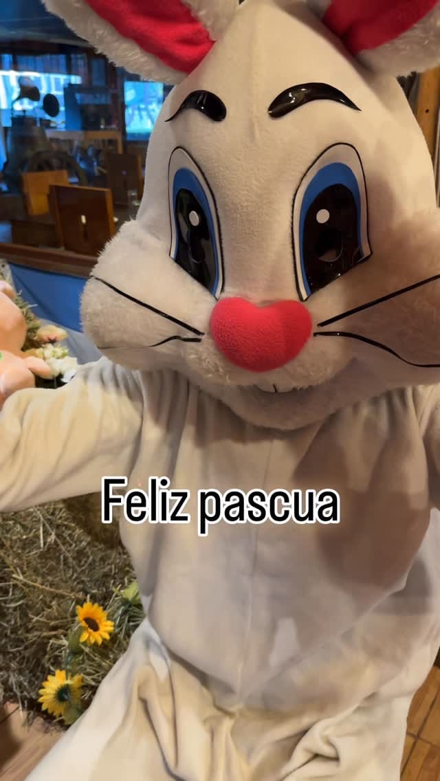 Post 4 by EL RANCHO DEL CHÉ OFICIAL on Instagram (video)