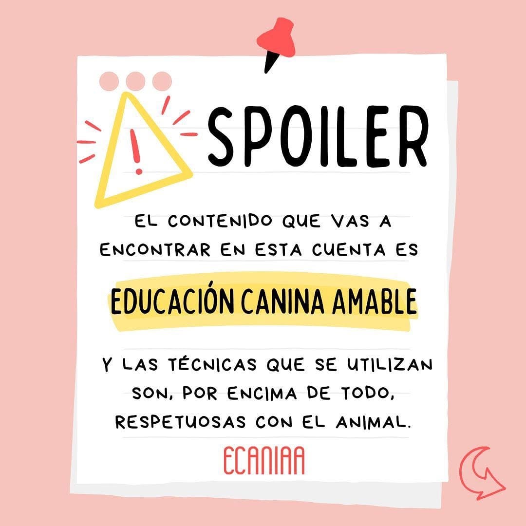 Post 10 by Educación canina respetuosa e IAA on Instagram (carousel)