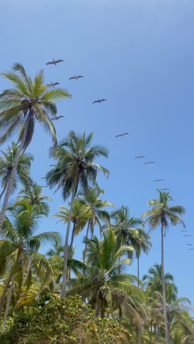 Post 3 by SARA GABRIELA on Instagram (video)