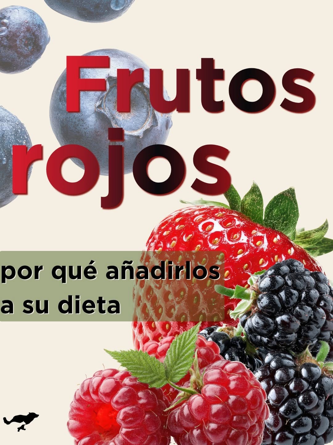 Post 9 by Nutricione ® on Instagram (carousel)