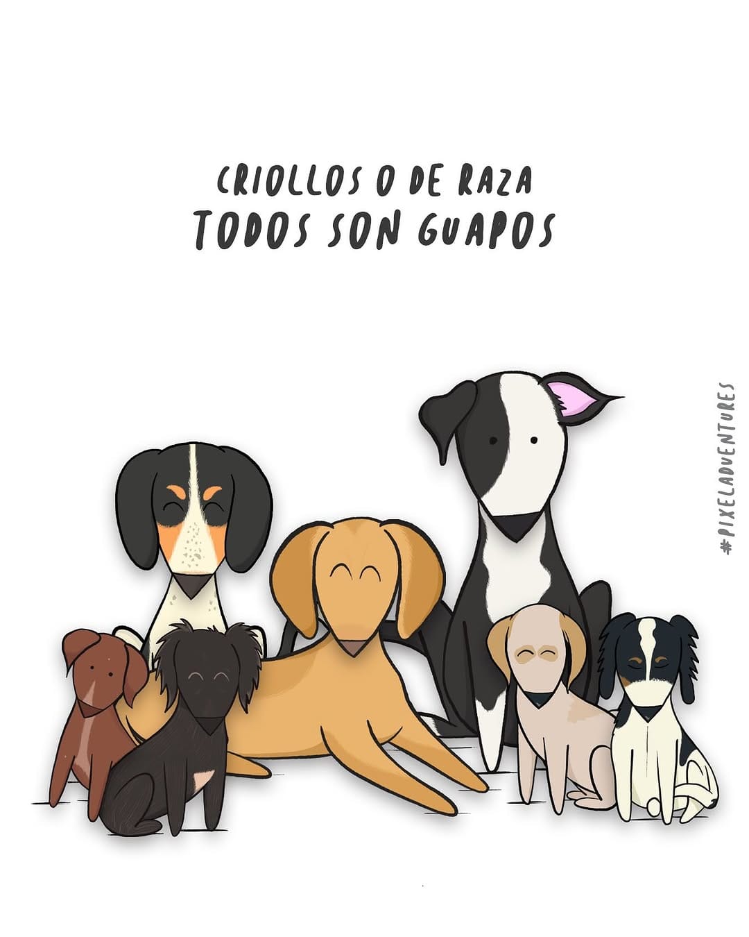 Post 4 by Diego Sánchez Puerta on Instagram (image)
