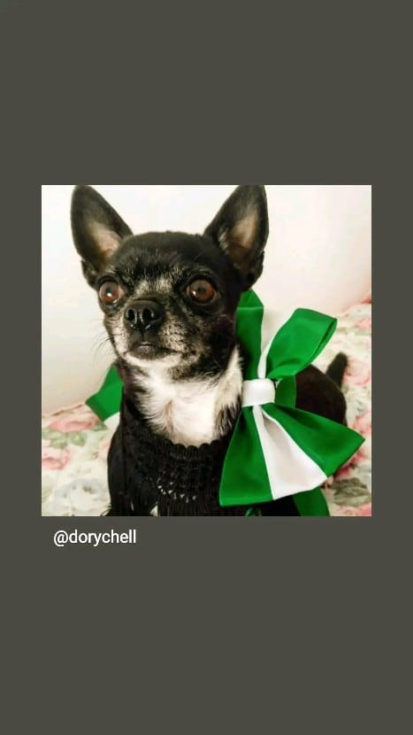 Post 4 by Dorychell on Instagram (video)