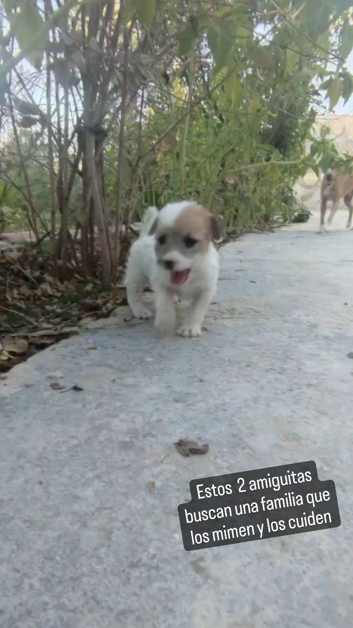 Post 10 by Dorychell on Instagram (video)
