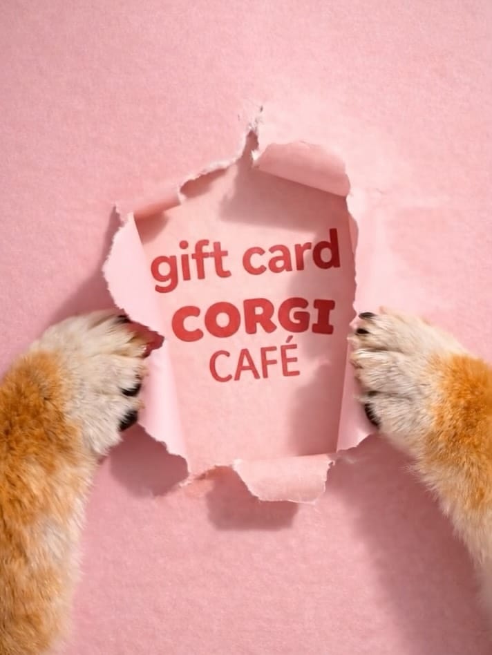 Post 10 by CORGI CAFE | BRUNCH BARCELONA on Instagram (carousel)
