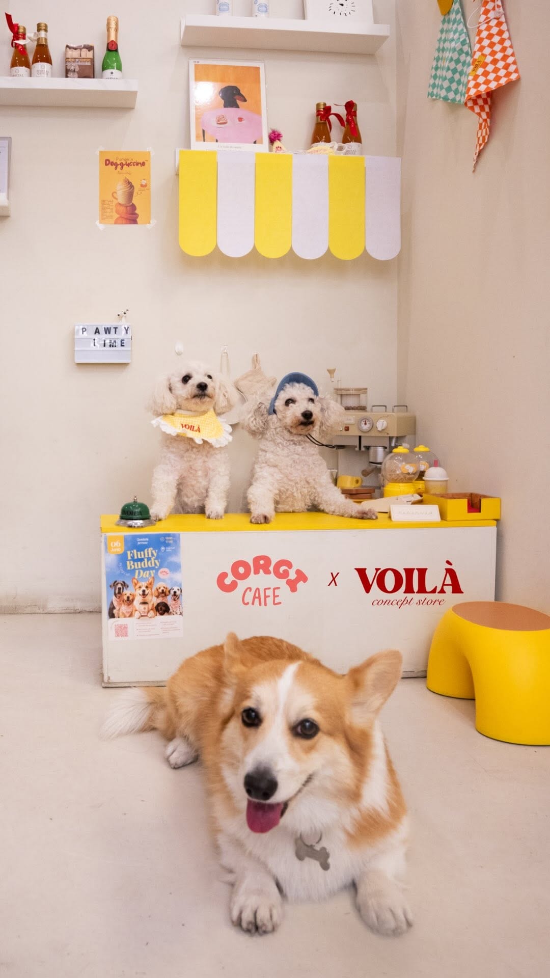 Post 3 by CORGI CAFE | BRUNCH BARCELONA on Instagram (video)