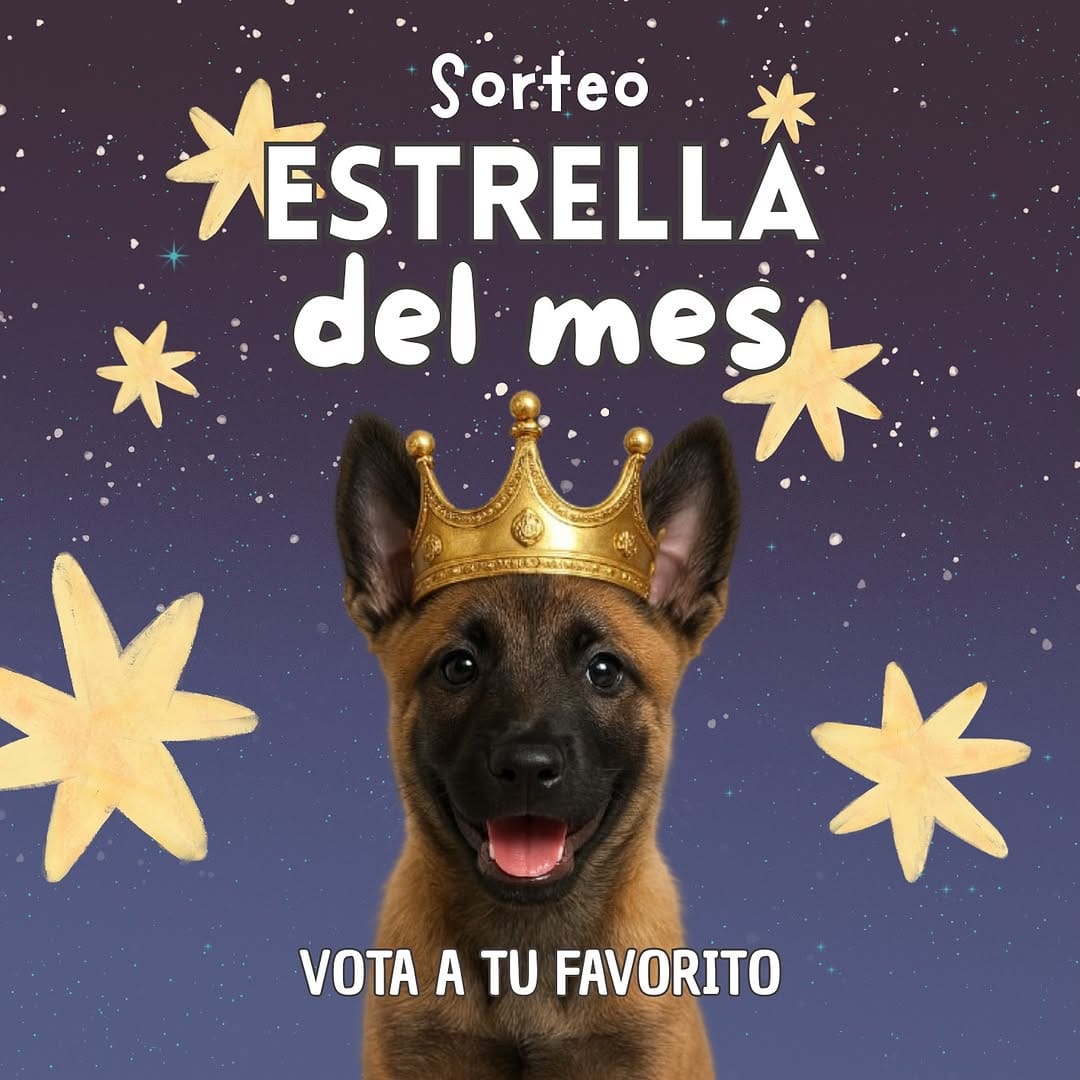 Post 5 by agro-natura.com on Instagram (carousel)
