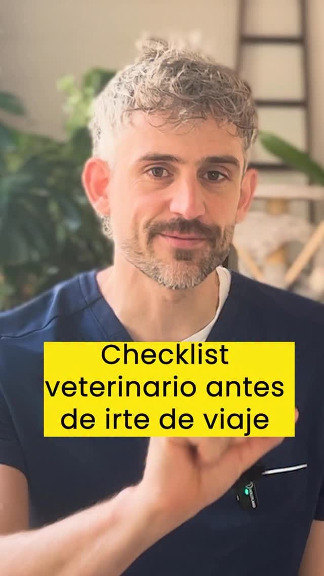 Post 3 by Víctor Algra on Instagram (video)